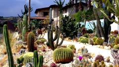 Relais Cactus